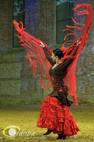 pasin_y_duende_del_caballo_andaluz_10_20120316_1647262542