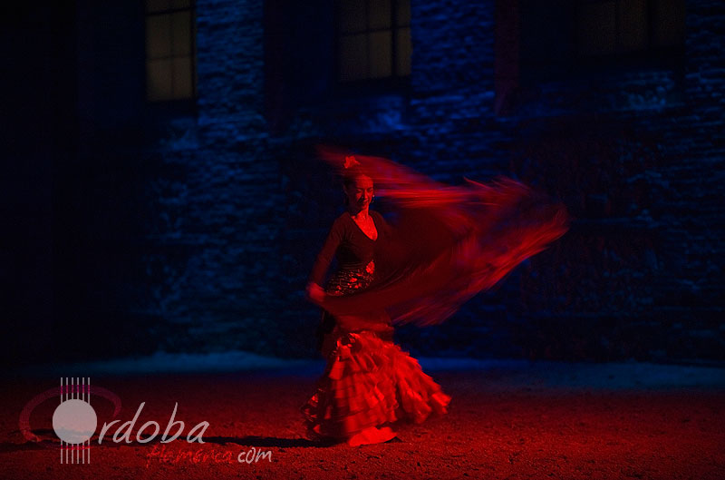 pasin_y_duende_del_caballo_andaluz_11_20120316_1466638334