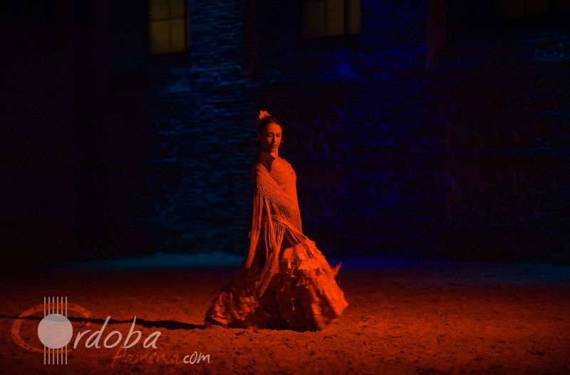 pasin_y_duende_del_caballo_andaluz_12_20120316_1779240439