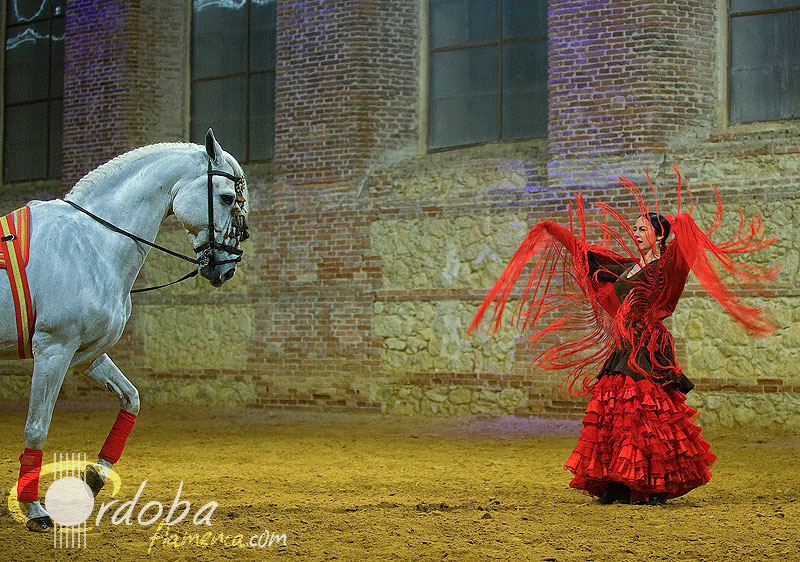 pasin_y_duende_del_caballo_andaluz_13_20120316_1096717069