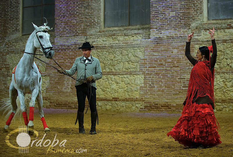 pasin_y_duende_del_caballo_andaluz_15_20120316_1066256105