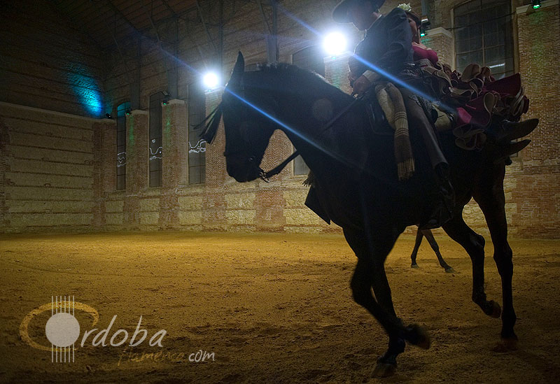 pasin_y_duende_del_caballo_andaluz_1_20120316_1947461915