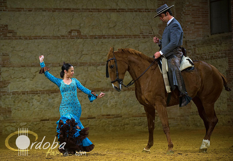pasin_y_duende_del_caballo_andaluz_4_20120316_1053865360