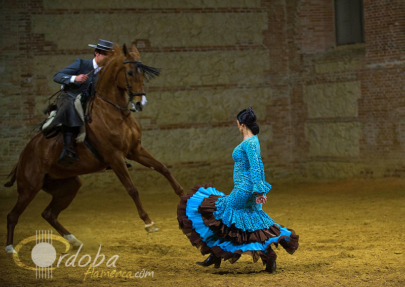 pasin_y_duende_del_caballo_andaluz_5_20120316_1535832671