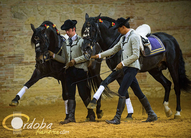 pasin_y_duende_del_caballo_andaluz_8_20120316_2027028638