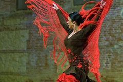 pasin_y_duende_del_caballo_andaluz_10_20120316_1647262542
