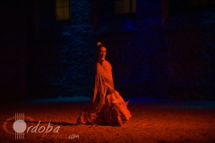 pasin_y_duende_del_caballo_andaluz_12_20120316_1779240439