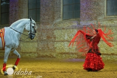 pasin_y_duende_del_caballo_andaluz_13_20120316_1096717069