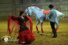 pasin_y_duende_del_caballo_andaluz_14_20120316_1900932826