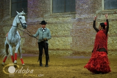 pasin_y_duende_del_caballo_andaluz_15_20120316_1066256105