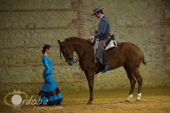 pasin_y_duende_del_caballo_andaluz_2_20120316_1181940197