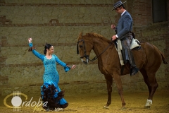 pasin_y_duende_del_caballo_andaluz_4_20120316_1053865360