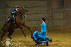 pasin_y_duende_del_caballo_andaluz_5_20120316_1535832671
