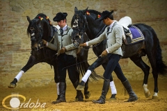 pasin_y_duende_del_caballo_andaluz_8_20120316_2027028638