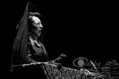 exaltacin_de_la_saeta_en_pozoblanco_-_milagros_de_sanz_20120326_1198522136