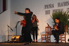 Festival Flamenco de Villaharta 2012