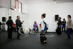 festival-jerez-2014-02