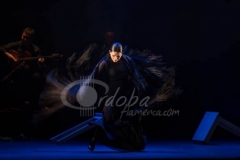 festival-jerez-2014-03