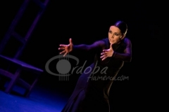 festival-jerez-2014-04