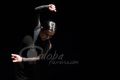 festival-jerez-2014-07