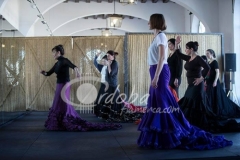 festival-jerez-2014-12