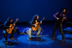 festival-guitarra-2014 (4)