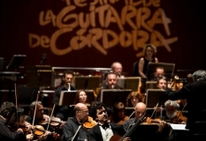 festival-guitarra-2015-08