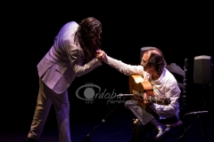 festival-guitarra-2015-22
