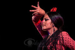 festival-puente-genil-2014 (1)