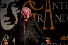 festival-puente-genil-2014 (10)