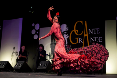 festival-puente-genil-2014 (12)