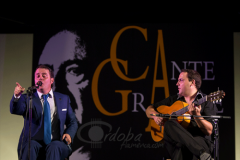 festival-puente-genil-2014 (2)