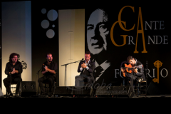 festival-puente-genil-2014 (3)