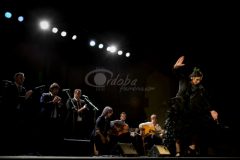 Festival Flamenco de los Patios de Córdoba 2015