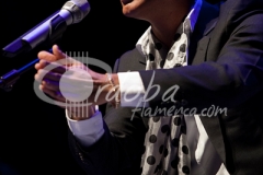 pitingo_3_20120707_1531360853