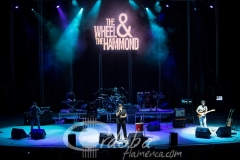 the_wheel__the_hammond_20130706_1350779410
