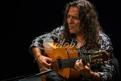 tomatito_soy_flamenco_20130709_1259888598