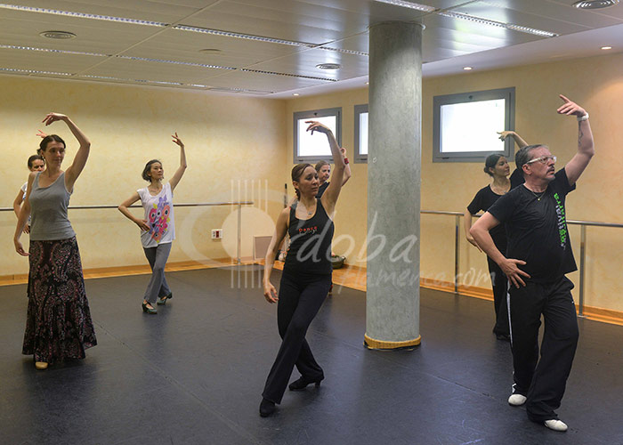 curso_de_baile_flamenco_de_javier_latorre_20130711_1363314129