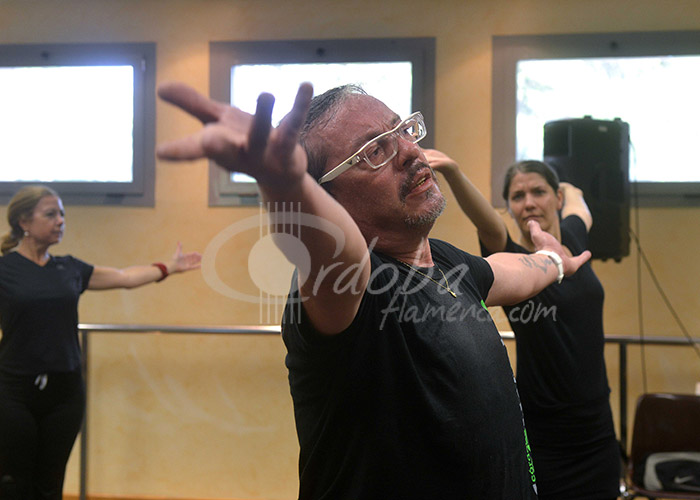 curso_de_baile_flamenco_de_javier_latorre_20130711_1545885295