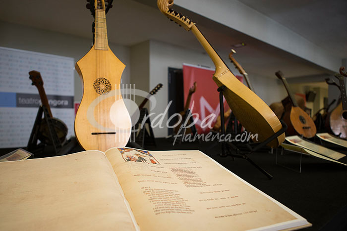 sonidos_vecinos_-_exposicin_de_cordfonos_de_portugal_20130701_1158356106