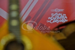 sonidos_vecinos_-_exposicin_de_cordfonos_de_portugal_20130701_1346140273