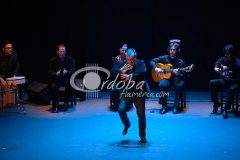 Festival de Jerez 2013. Espectáculos