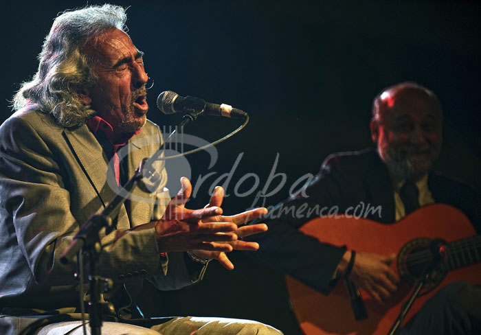 capullo_de_jerez_y_nio_jero_20120512_1564877391