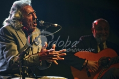 capullo_de_jerez_y_nio_jero_20120512_1564877391