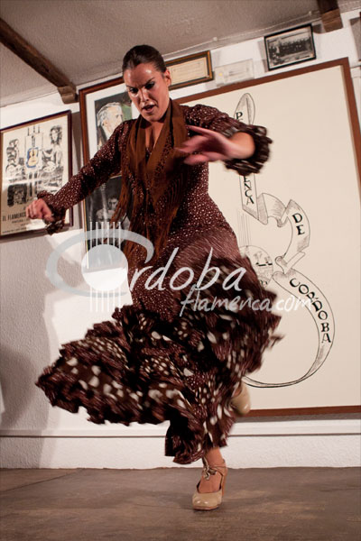 clara_gutirrez_y_su_cuadro_en_la_pea_flamenca_de_crdoba_20121001_1762264984