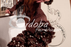 clara_gutirrez_y_su_cuadro_en_la_pea_flamenca_de_crdoba_20121001_1762264984