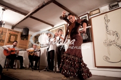 clara_gutirrez_y_su_cuadro_en_la_pea_flamenca_de_crdoba_20121001_1819114356