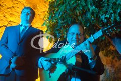 Noche Blanca del Flamenco 2012. Conciertos