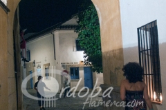 patios_a_la_luz_de_las_velas_6_20120615_1574159149