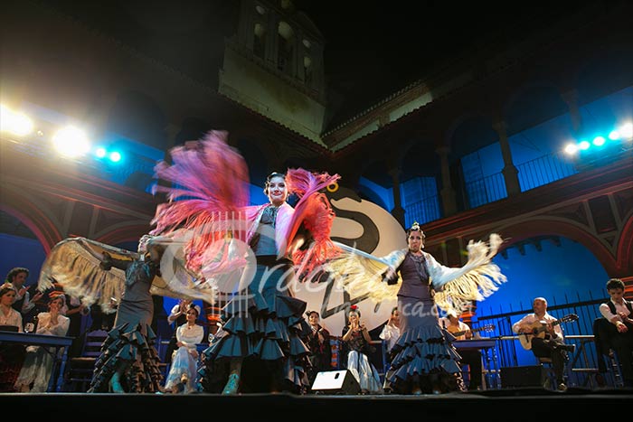 aquellos_cafs_cantantes_-_conservatorio_de_danza_de_crdoba_20130624_1127095072
